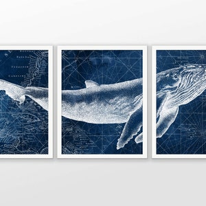 Humpback Whale on Nautical Map Watercolor Art Poster Set Of 3 - Whale Art Print - Humpback Whale Poster - Humpback Whale Wall Art (AB585)