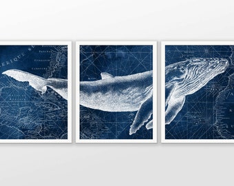 Humpback Whale on Nautical Map Watercolor Art Poster Set Of 3 - Whale Art Print - Humpback Whale Poster - Humpback Whale Wall Art