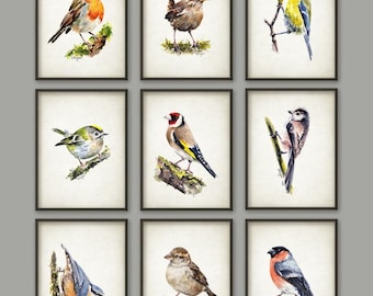 Tuinvogels muurkunst set van 9, aquarel vogels schilderijen, roodborstje goudvink goudvink mus winterkoninkje lijster zangvogels kunstafdrukken
