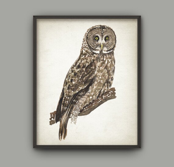 Watercolor Owl Wall Art Print Great Gray Owl Painting Bird Of Prey Poster Raptor Bird Home Decor Forest Woodland Rustic Cabin Art 873