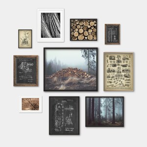 May include: A collection of framed art prints featuring nature and industrial themes. The prints include a close-up of tree bark, a pile of logs in a forest, cross-sections of wood, and vintage diagrams and patents. The frames are in various sizes and styles.