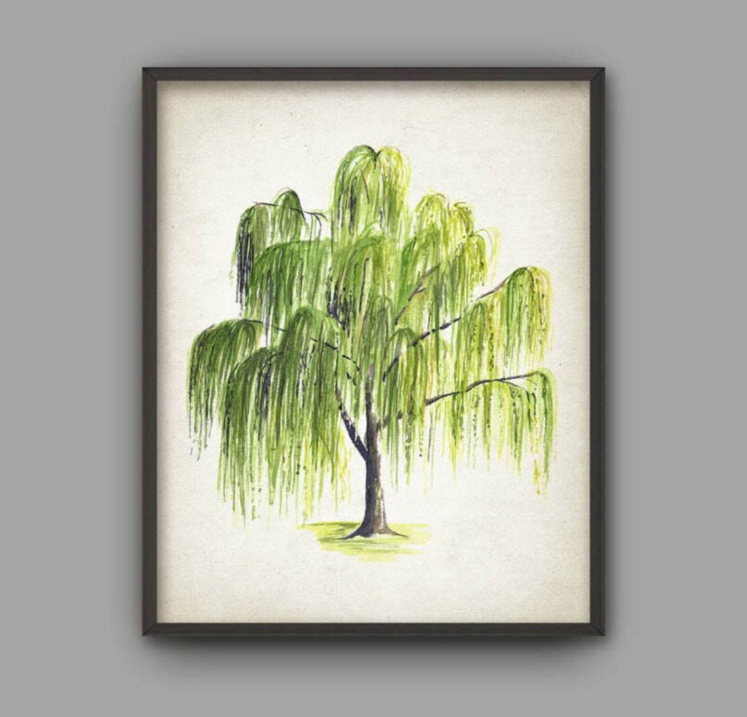 Weeping Willow Tree Watercolor Print, Woodland Poster, Tree Painting ...