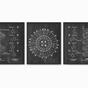 DNA and RNA Genetic Code Print Set of 3 - Genetics Poster - Molecular ...