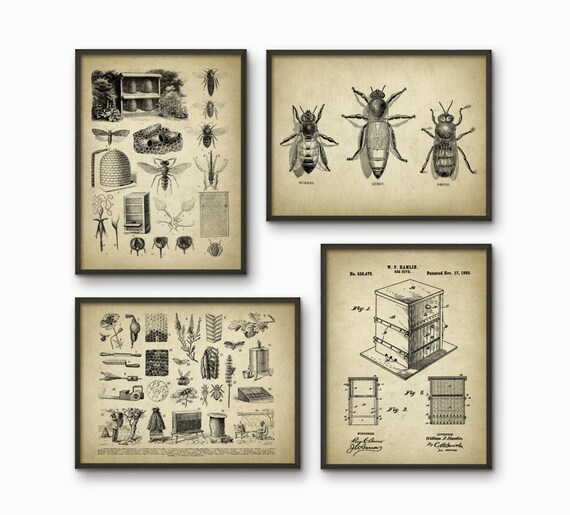 Vintage Beekeeping Print Set Of 4 Queen Bee Worker Bee | Etsy