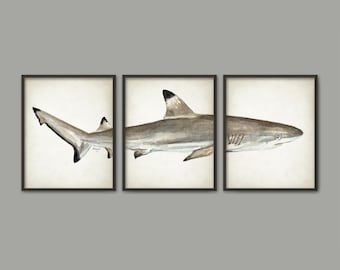 Blacktip Reef Shark Watercolor Art Set Of 3 Prints, Black Tip Shark Art Painting, Bathroom Wall Art, Ocean Beach House Marine Decor