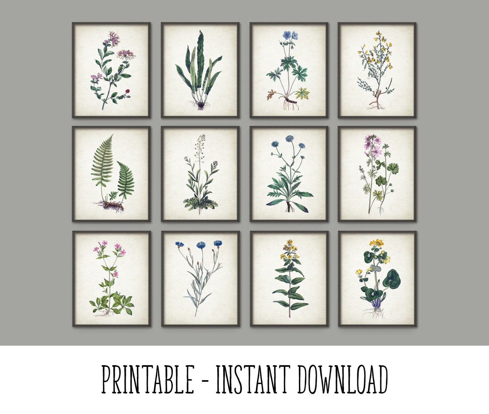 PRINTABLE Set of 12 Wild Flowers Images, Antique Wall Art Set Rustic ...