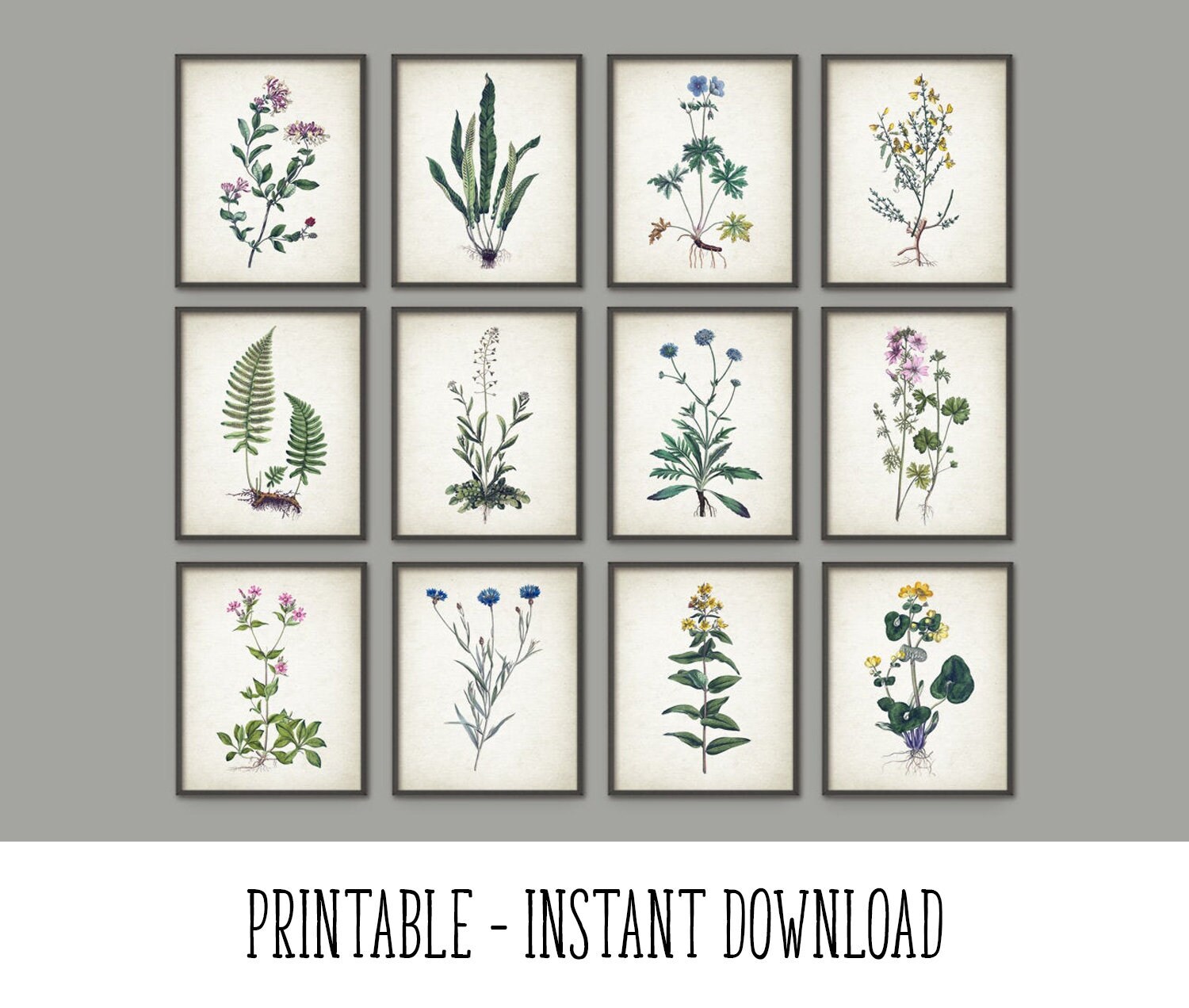 PRINTABLE Set of 12 Wild Flowers Images Antique Wall Art Set - Etsy