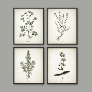May include: Four framed botanical prints showcasing detailed illustrations of herbs. The prints feature parsley, thyme, rosemary, and sage, each labelled with its name. The artwork is in a vintage style with a neutral background and black frames.