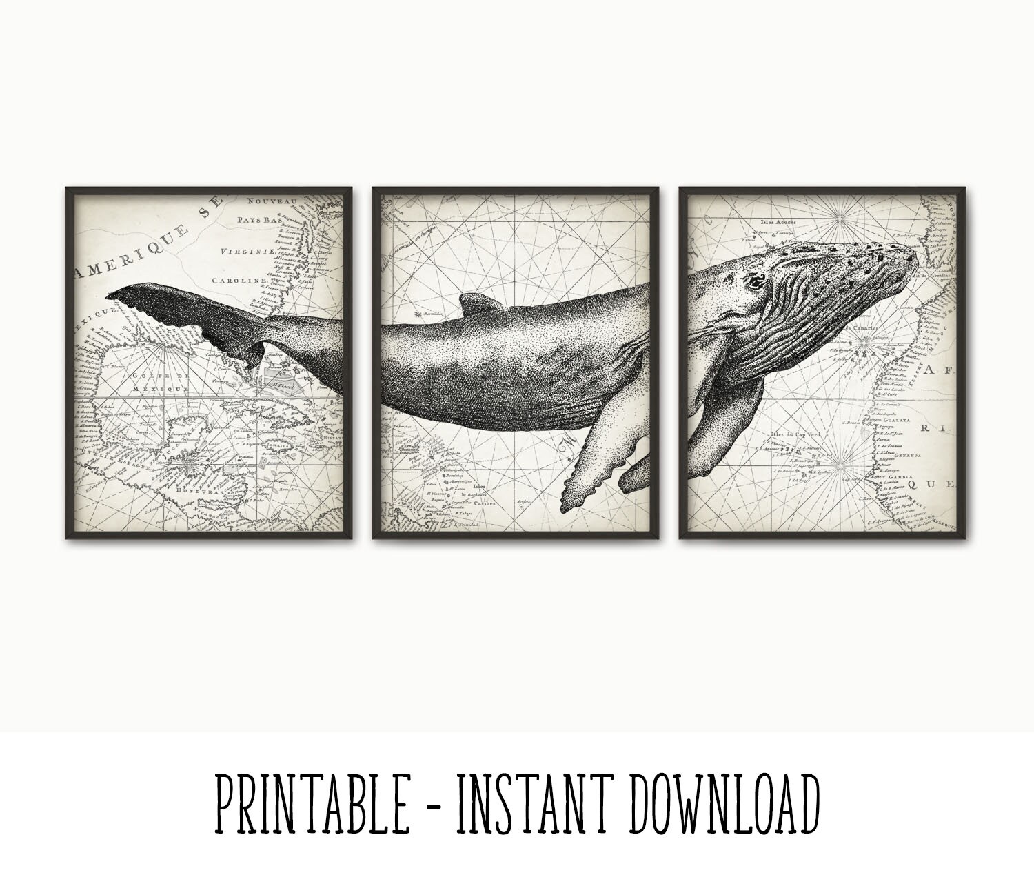 PRINTABLE Humpback Whale Wall Art Poster Set of 3 Whale Art | Etsy