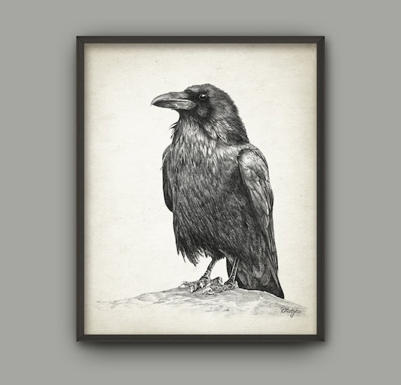 Raven Bird Art Print Raven Pencil Drawing Print Raven Decor Raven Bird Picture Raven Wall Art Print Gothic Art Poster