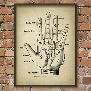 Pu&ograve; includere: Un'illustrazione vintage di una mano con linee e simboli, etichettati con termini come "Intuizione", "Ragione", "Istinto materiale" e "La Rascette". L'immagine &egrave; intitolata "Tavola VII - La mappa della mano".