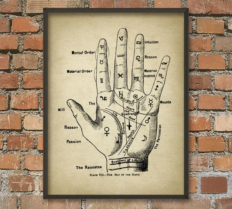 Pu&ograve; includere: Un'illustrazione vintage di una mano con linee e simboli, etichettati con termini come "Intuizione", "Ragione", "Istinto materiale" e "La Rascette". L'immagine &egrave; intitolata "Tavola VII - La mappa della mano".
