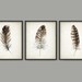 PRINTABLE Set of 3 Feather Images, Watercolor Feathers Painting Wall ...