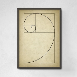 Peut inclure: Un dessin au trait noir et blanc de la spirale dorée, un concept mathématique qui apparaît dans la nature, à l'intérieur d'un cadre carré.