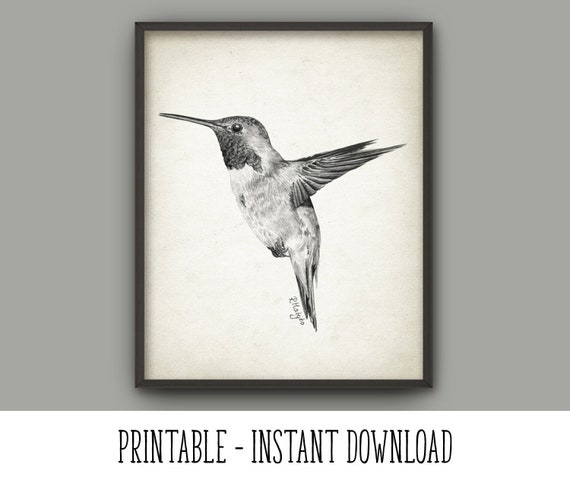 PRINTABLE Hummingbird Print Hummingbird Wall Art Poster | Etsy