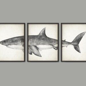 May include: A triptych of three framed wall art prints featuring a monochromatic watercolor illustration of a shark. The shark is divided across the three frames, showing the head on the left, the body in the center, and the tail on the right.