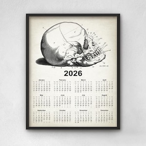 Human Anatomy Skull Calendar 2026, Medical Student Gift, Vintage Anatomy Drawing Wall Art Calendar