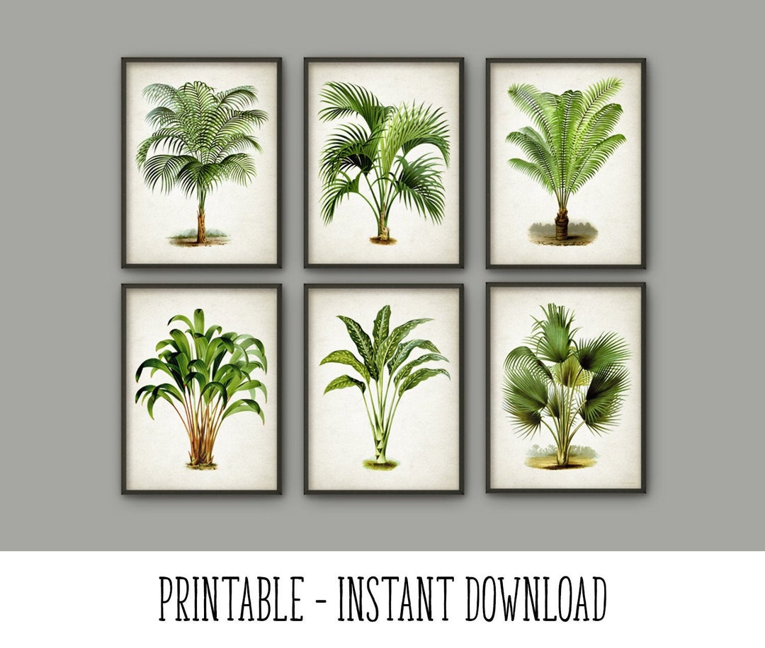 PRINTABLE Set of 6 Palm Tree Botanical Wall Art Prints Modern - Etsy