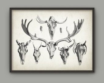 Deer Antlers Poster, Animal Antlers Print, Vintage Deer Illustration, Antique Hunting Art, Deer Skull Skeletal Anatomy Art Print