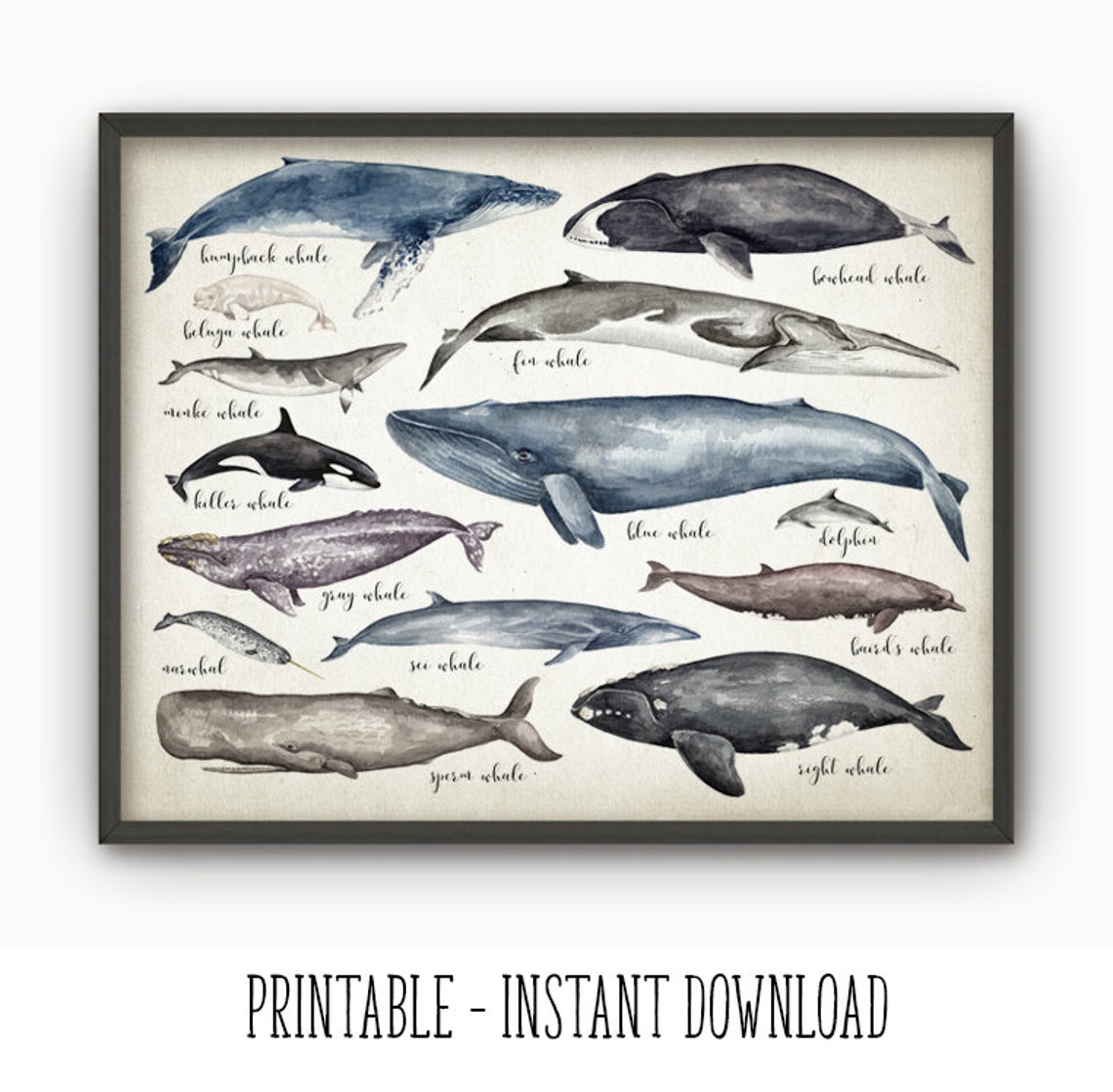 PRINTABLE Whales of the World Wall Art Watercolor Whale - Etsy
