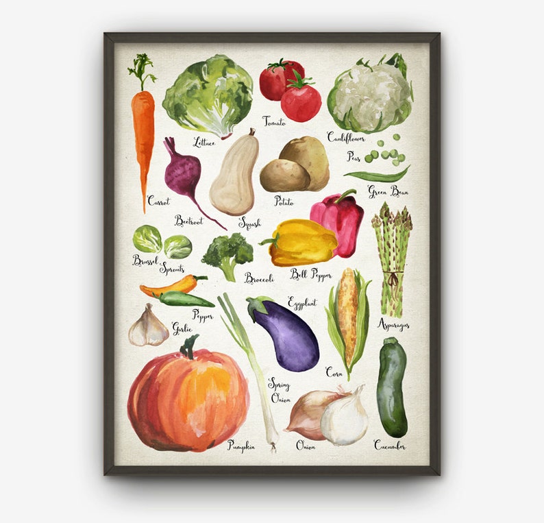 K&ouml;nnte beinhalten: Eine Aquarell-Illustration verschiedener Gem&uuml;se und Fr&uuml;chte, darunter eine Tomate, Salat, Blumenkohl, gr&uuml;ne Bohnen, Karotte, Rote Bete, Kartoffel, K&uuml;rbis, Rosenkohl, Brokkoli, Paprika, Aubergine, Spargel, Mais, Fr&uuml;hlingszwiebeln, Knoblauch, K&uuml;rbis, Zwiebel und Gurke.