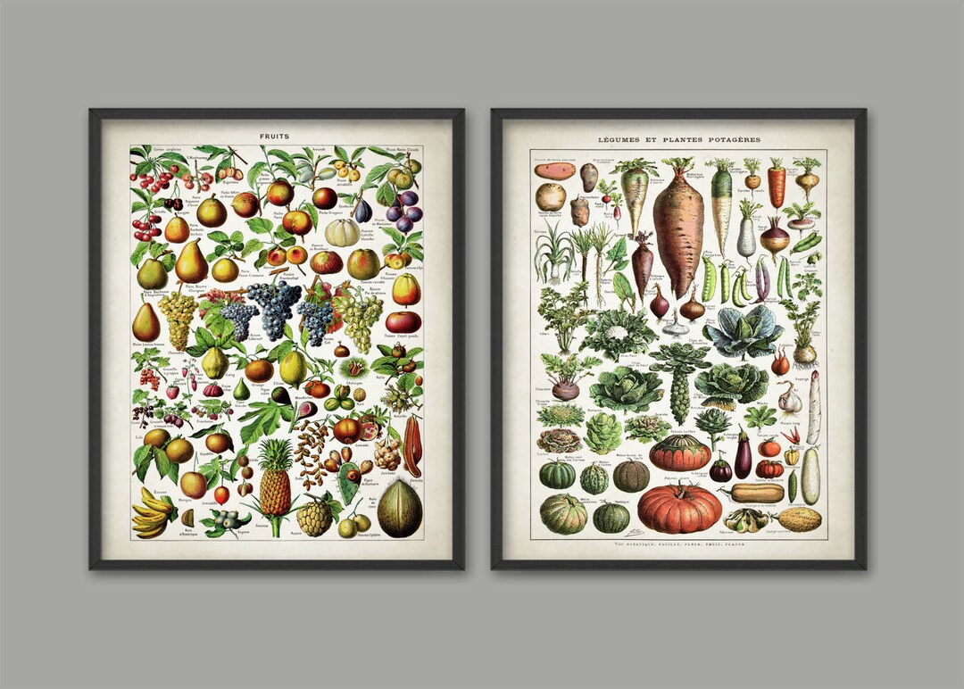 kitchen print set of 2 fruit print vegetable print... Fruit and Vegetables Print Set of 2 - Larousse Book Plate Prints ...