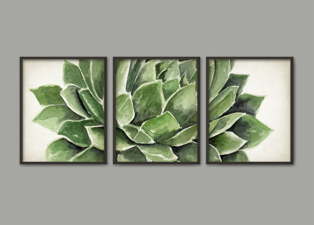 Succulent Plant Art Print Set of 3, Watercolor Botanical Art Painting ...