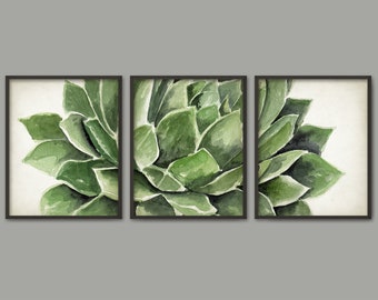 Succulent Plant Art Print Set Of 3, Watercolor Botanical Art Painting, Green Succulent Decor, Cactus Botanical Wall Art Print
