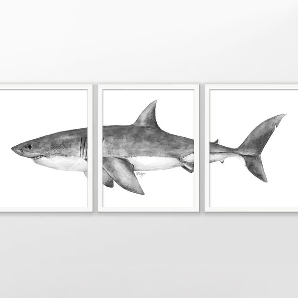 Great White Shark Watercolor Art Print Set Of 3, Shark Wall Art, Great White Shark Bathroom Wall Art, Sea Life, Marine Biology (AB560)