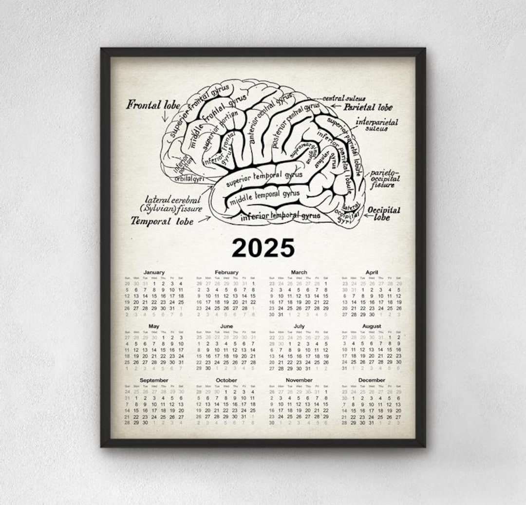Vintage Brain Chart Calendar 2025, Antique Human Brain Anatomy Wall ...
