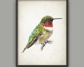 Hummingbird Art Print, Watercolor Painting, Bird Illustration Art Poster, Ruby-Throated Hummingbird Wall Art Print from Original Painting