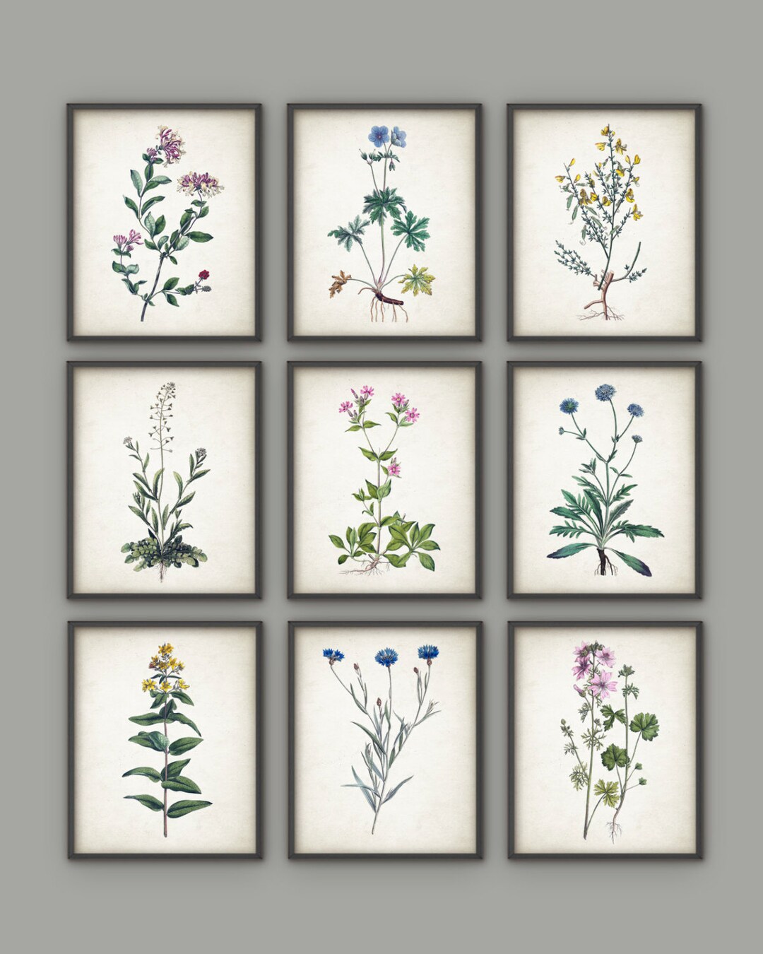 Wildflower Print Set of 9 - Vintage Flower Botanical Home Decor ...