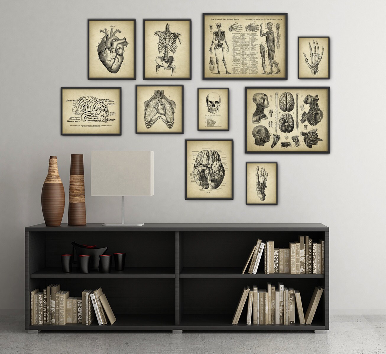 Human Anatomy Antique Art Print Set of 10 - Vintage Anatomy Home Decor ...