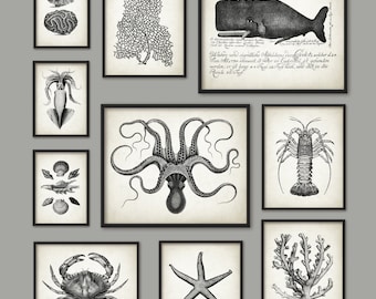 Marine Bathroom Print Set of 10, Octopus Whale Crab Lobster Starfish Coral Sea Fan Seashells Squid Decor Bathroom Beach Ocean Gallery Wall