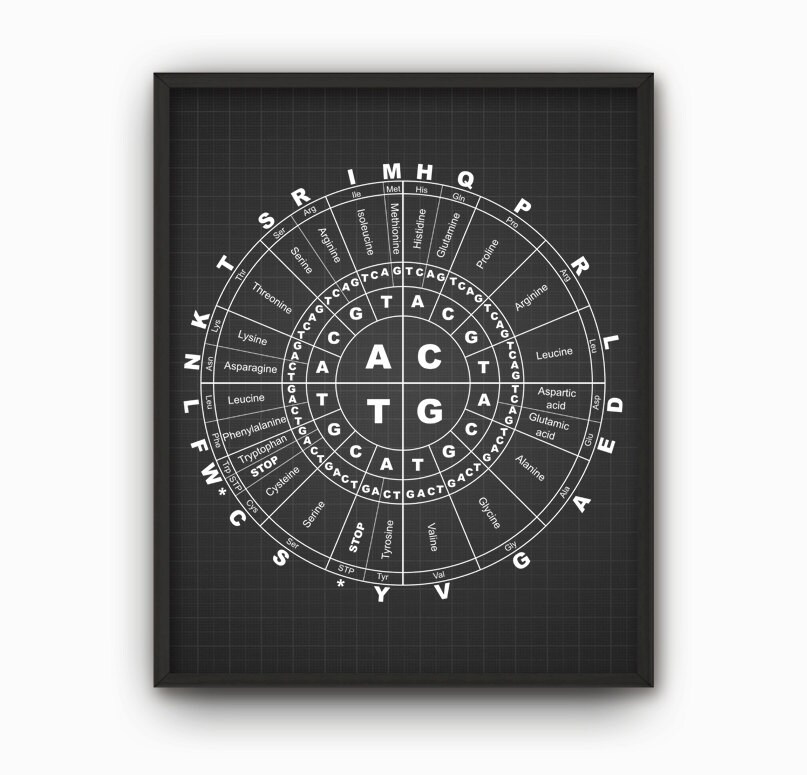 Genetic Code Print, Amino Acids Proteins DNA RNA Base Pairs, Molecular ...