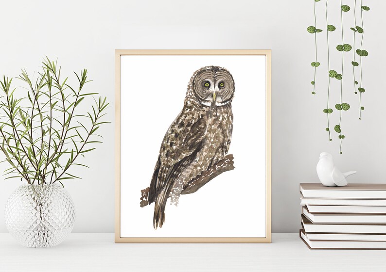 Great Gray Owl Art Print Watercolor Owl Painting Owl Bird Of Prey Poster Raptor Bird Owl Wall Art Home Decor Forest Woodland Decor W74