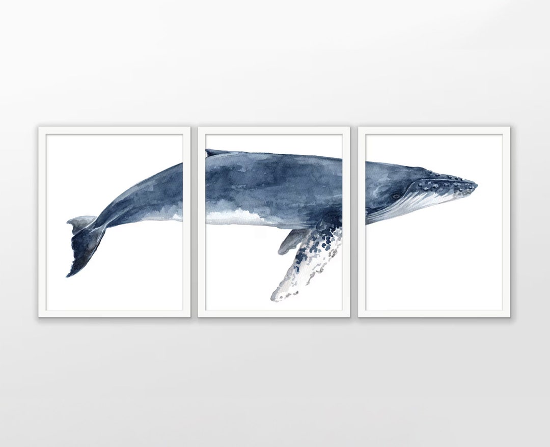 Humpback Whale Art Print Set of 3, Humpback Whale Triptych, Watercolor ...