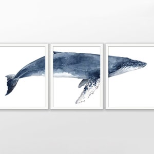 Humpback Whale Art Print Set Of 3, Humpback Whale Triptych, Watercolor Whale Painting, Whale Home Decor, Whale Bathroom Wall Art