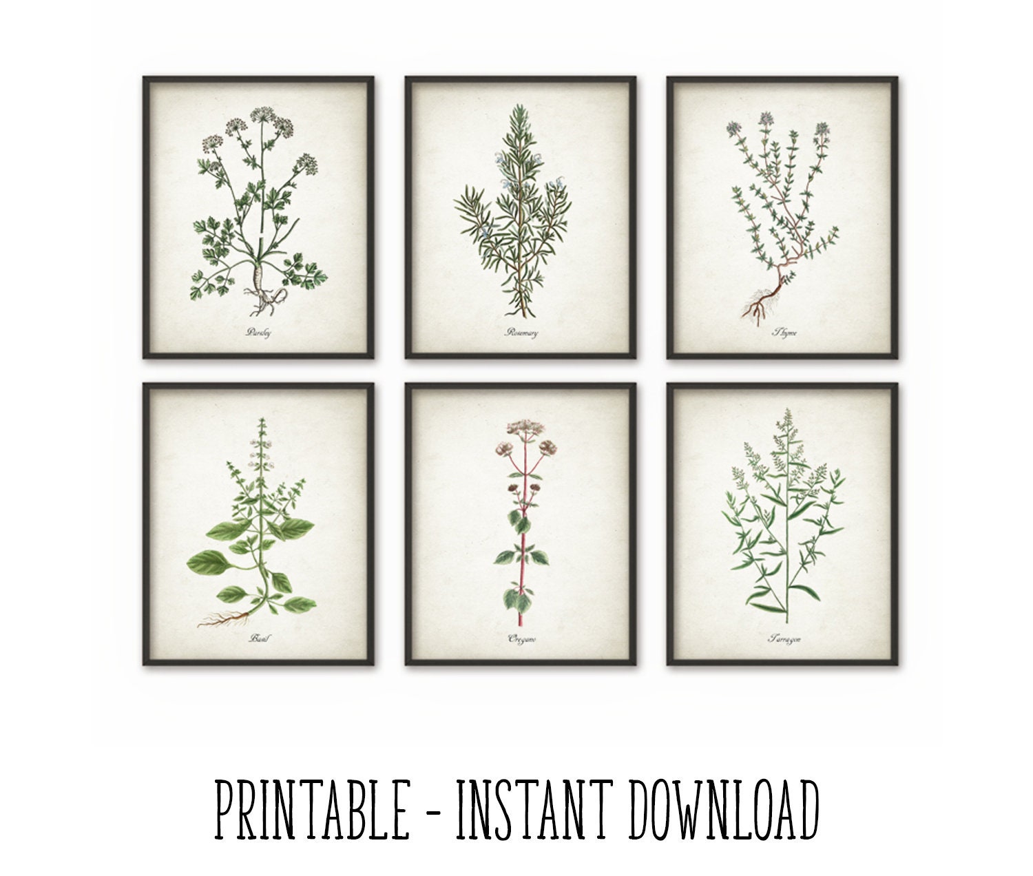 PRINTABLE Kitchen Herbs Wall Art Print Set of 6 Vintage | Etsy