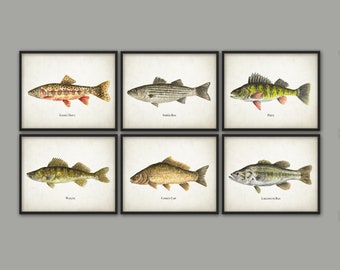 North American Fish Print Set Of 6, Watercolor Fish Painting, North American Lake And Stream Fish, Fishing, Angling, Angler, Fisherman Gift