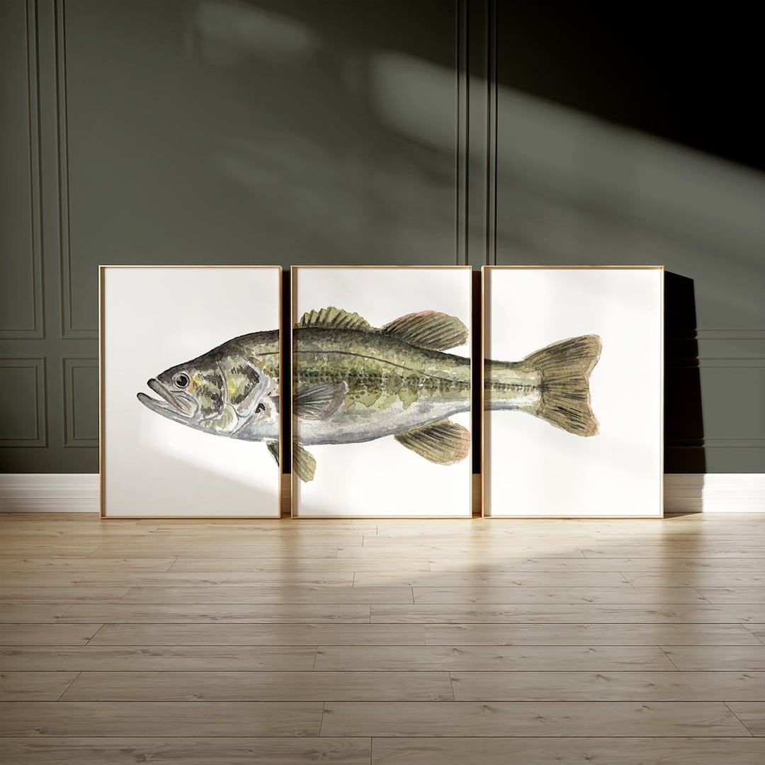 PRINTABLE Largemouth Bass Watercolor Print Set of 3, Fish Painting ...