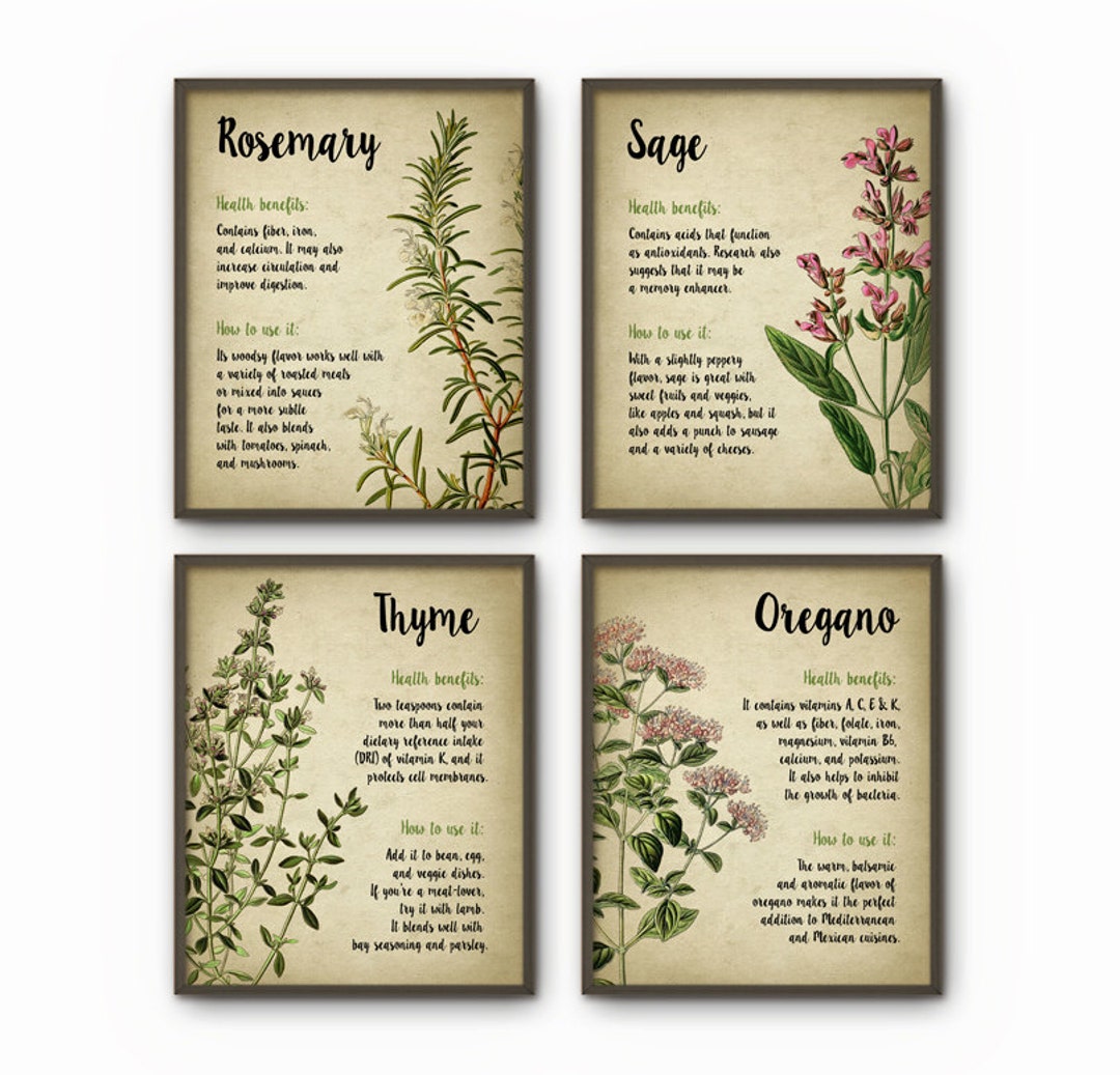 Herbs Kitchen Wall Art Print Set of 4 - Oregano Rosemary Sage Thyme ...