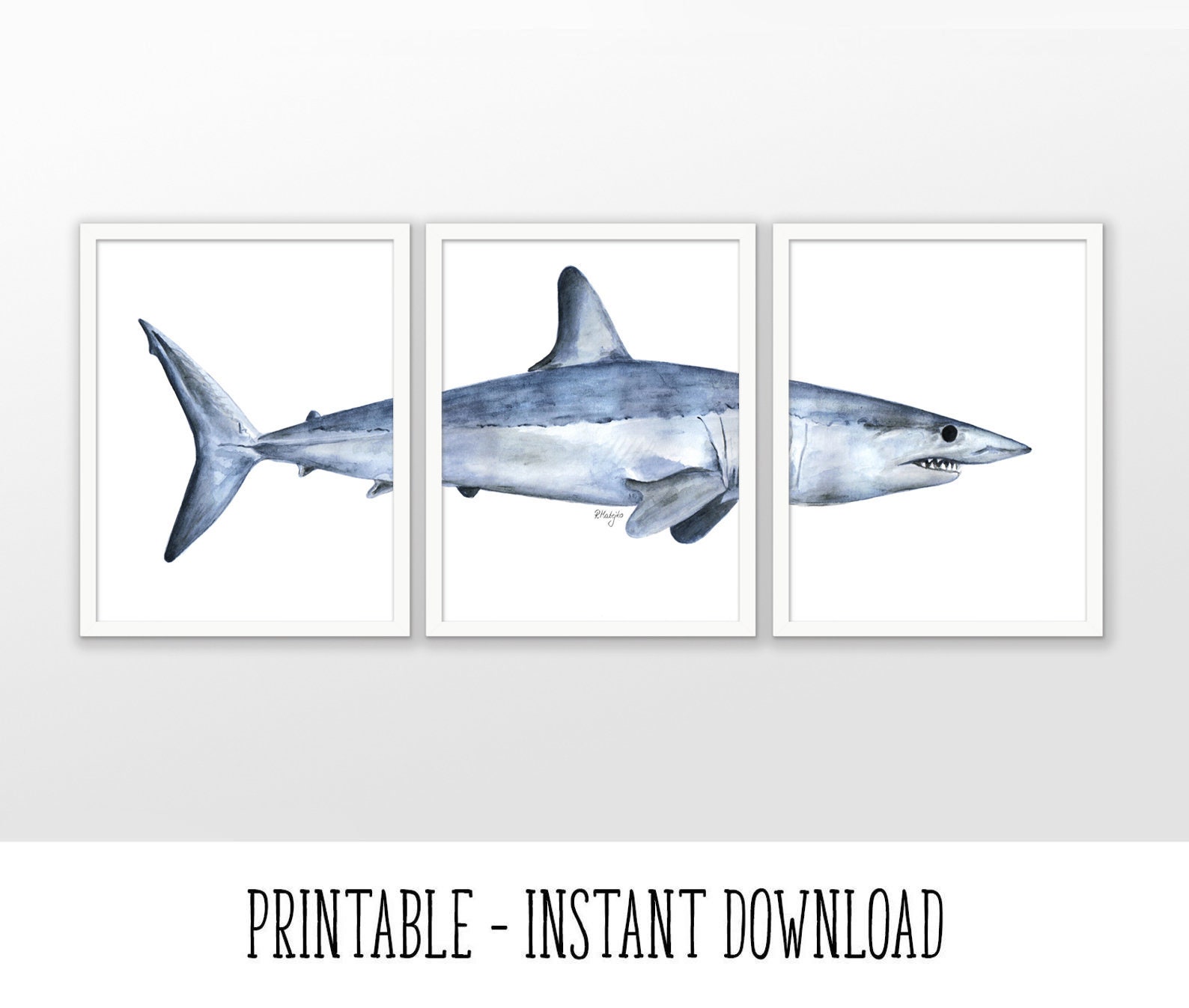 PRINTABLE Mako Shark Watercolor Art Poster Set of 3 Mako | Etsy