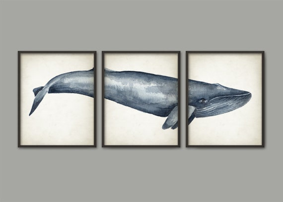 Blue Whale Art Print Set Of 3 Blue Whale Watercolor Painting Etsy