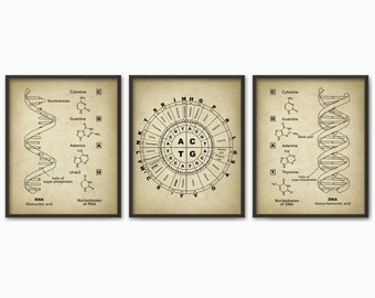 DNA and RNA Genetic Code Print Set of 3 - Genetics Poster