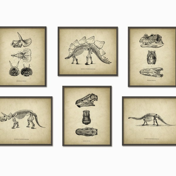 Dinosaur Print Set Of 6 - Dinosaur Skeleton - Prehistoric - Geology Student - Paleontology - Fossil Book Plate Illustration - Boys Bedroom