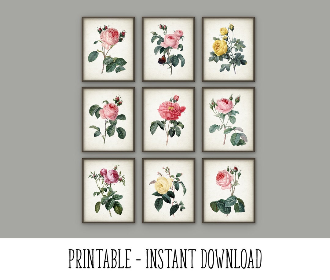 Rustic Roses Printable PRINTABLE Set of 9 Redoute Roses Botanical Prints, Antique Decor Wall ...
