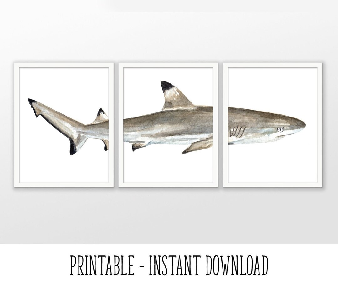 PRINTABLE Blacktip Reef Shark Watercolor Art Poster Set of 3, Black Tip ...