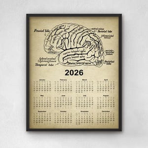 Vintage Brain Chart Calendar 2026, Antique Human Brain Anatomy Wall Calendar, Neuroscience Doctor or Medical Student Gift