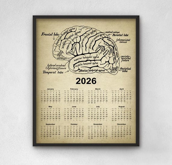 Vintage Brain Chart Calendar 2026, Antique Human Brain Anatomy